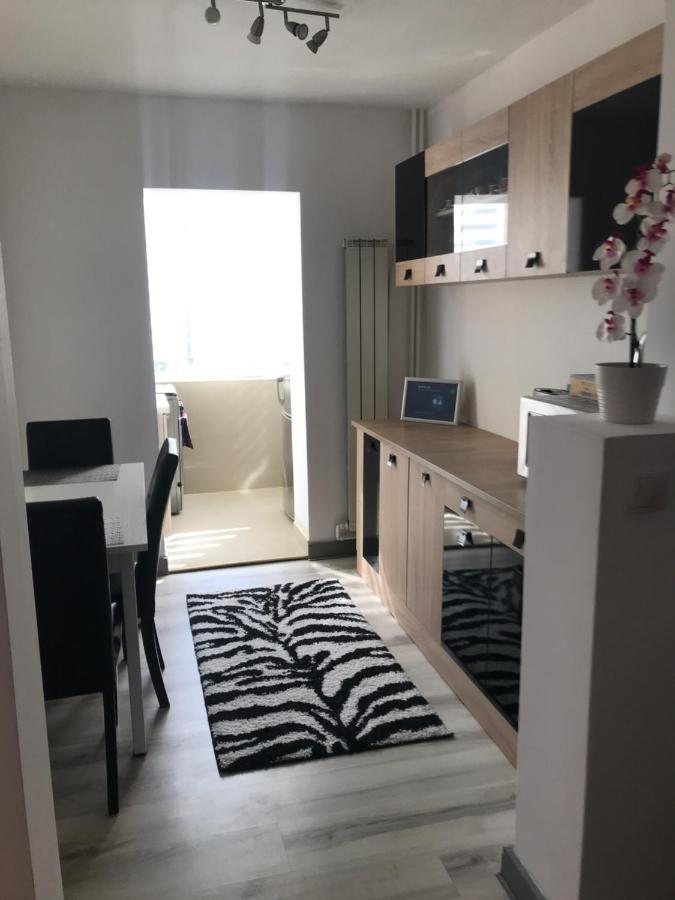 Boulevard Apartment Oradea Exteriér fotografie